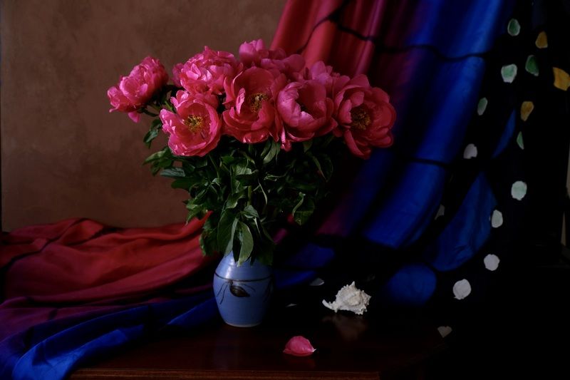 Still life, Flowers, Colors, Mood, Pink, Натюрморт, Цветы, Пионы,  Когда цвели пионы. photo preview