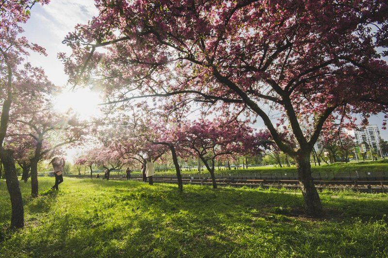 весна, город, природа, пейзаж, репортаж городской пейзажphoto preview