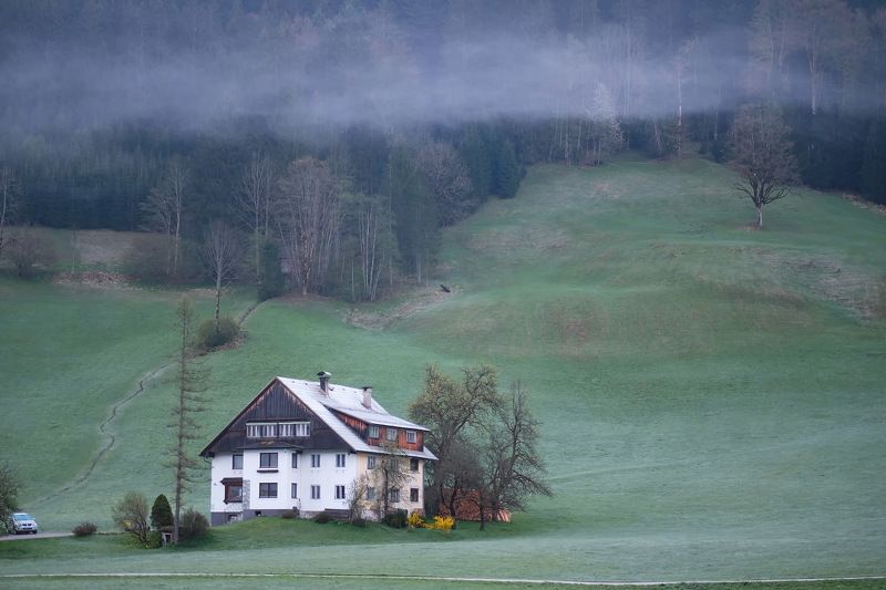 ... осенняя весна ...photo preview