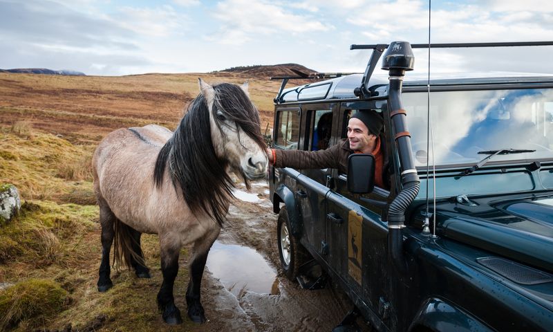 Интересная встречаphoto preview