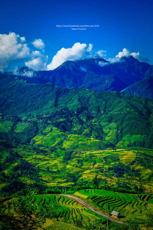 Blue, Clouds, Color, D300s, Field, House, Landscape, Mountains, Nature, Nikon, Northwest of Vietnam, Rice, Season, Sky, Small house, South east asia, Summer, Trungducphoto, Vietnam, Waves, Way, Yellow small house in the mountainsphoto preview