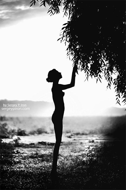 ..........photo preview