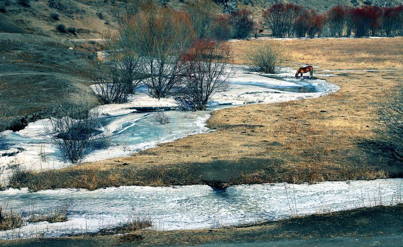 Первые проталиныphoto preview