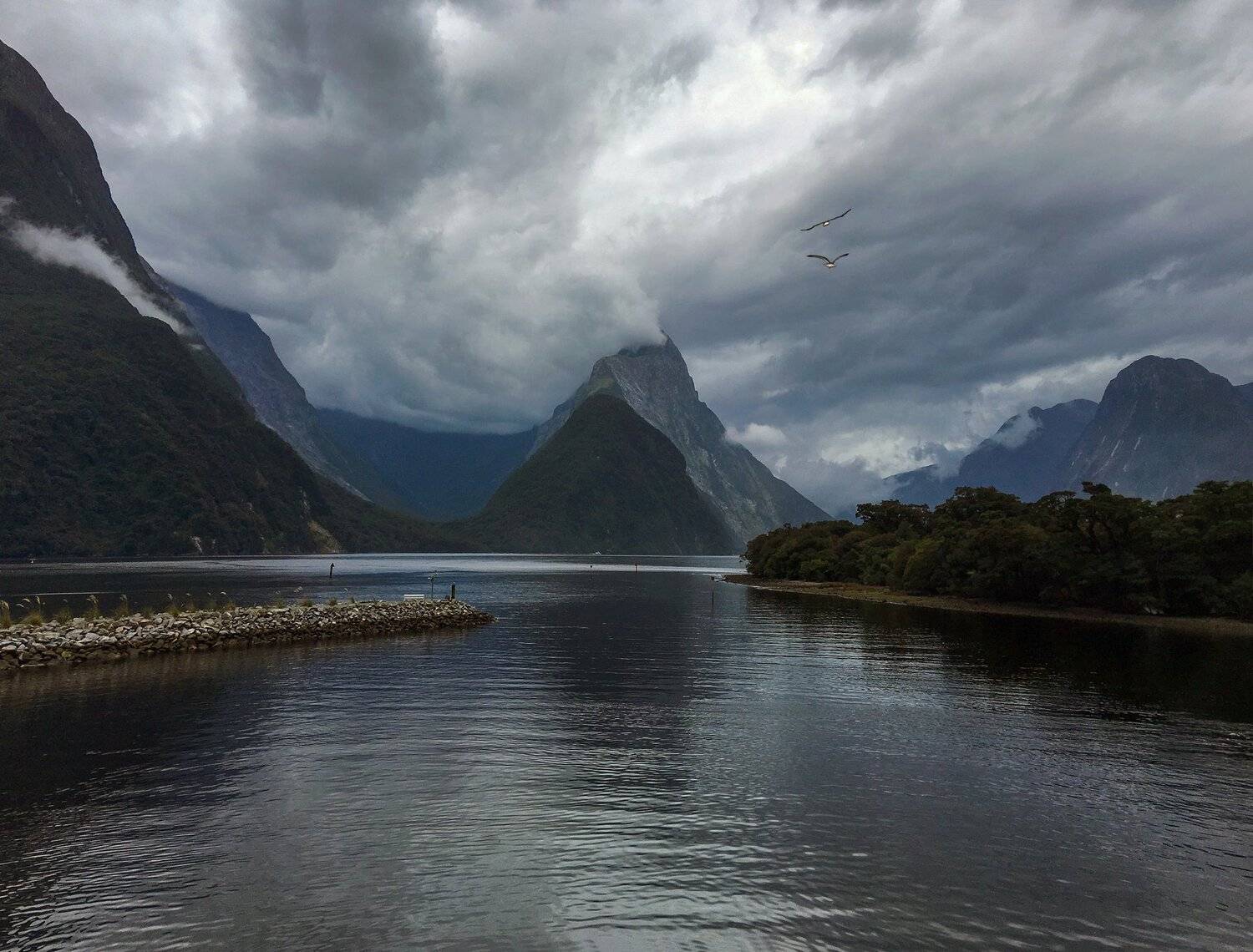 Берега. Автор: Алексей Рыльский , Алексей Рыльский