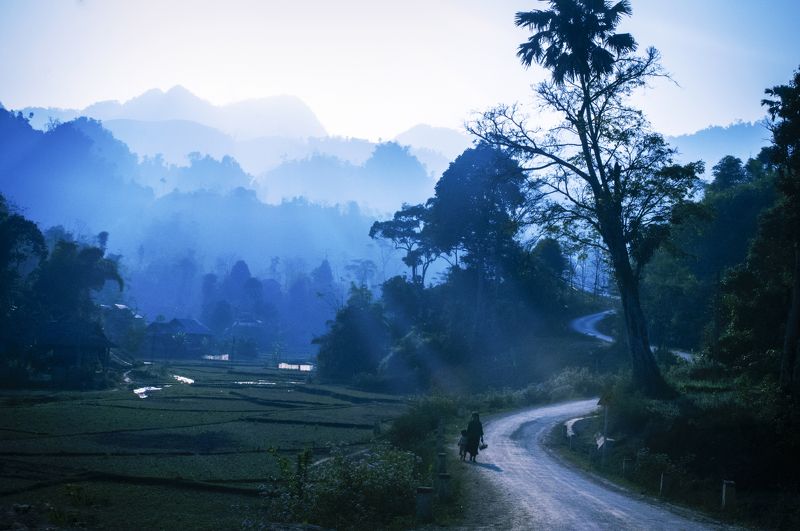D300s, Go home, Landscape, Light, Moc Chau, Mountains, Nikon, Northwest of Vietnam, Rays, Son La, South east asia, Sun, Sunlight, Sunrise, Vietnam, Way Go homephoto preview