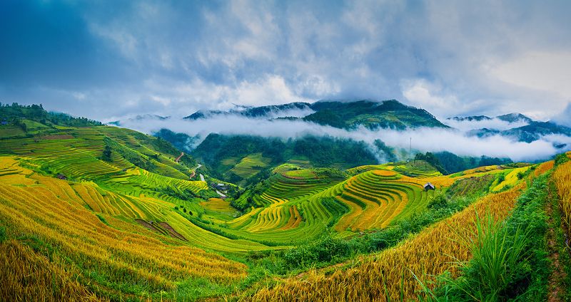 12-24 tokina, Cloud, D300s, Fog, Landscape, Mountains, Mu Cang Chai, Nature, Nikon, Northwest of Vietnam, Rice, Season, Sky, South east asia, Tokina, Trungducphoto, Valley, Viet Nam, Yen Bai Valley season goldenphoto preview