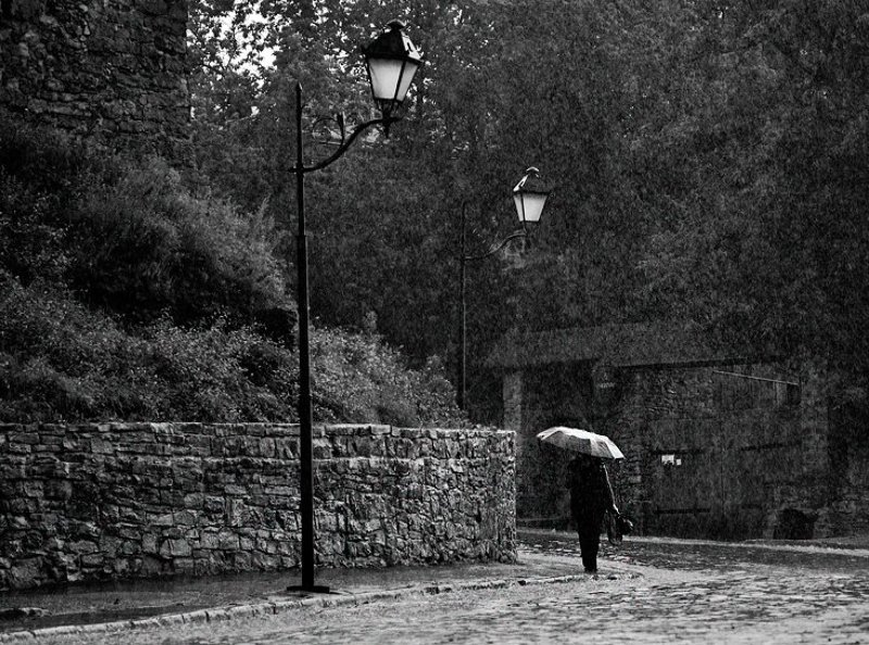 spring rainphoto preview