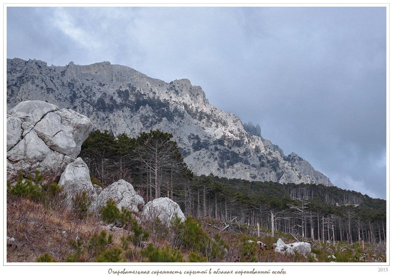Ай-петри, Алупка, Анатолий покровский, Горы, Крым, Лес, Облака, Скалы, Анатолий Покровский