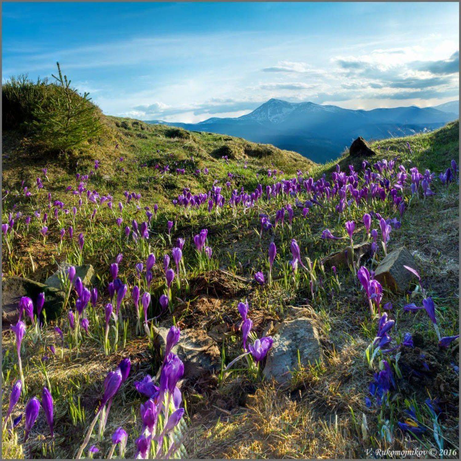 , Рукомойников Валентин