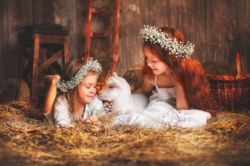 goat, коза, козленок, сено, хлев, деревня, сарай, сестры, сестренка, девочка, рыжая В хлевуphoto preview