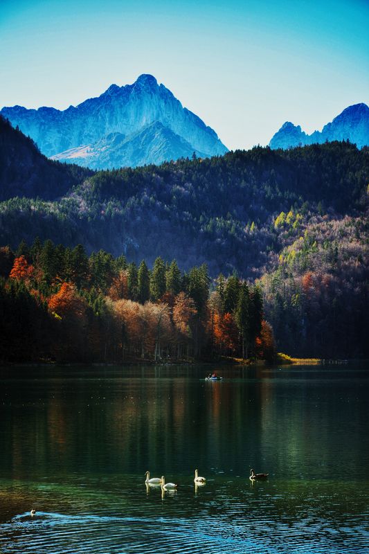 Баварияphoto preview