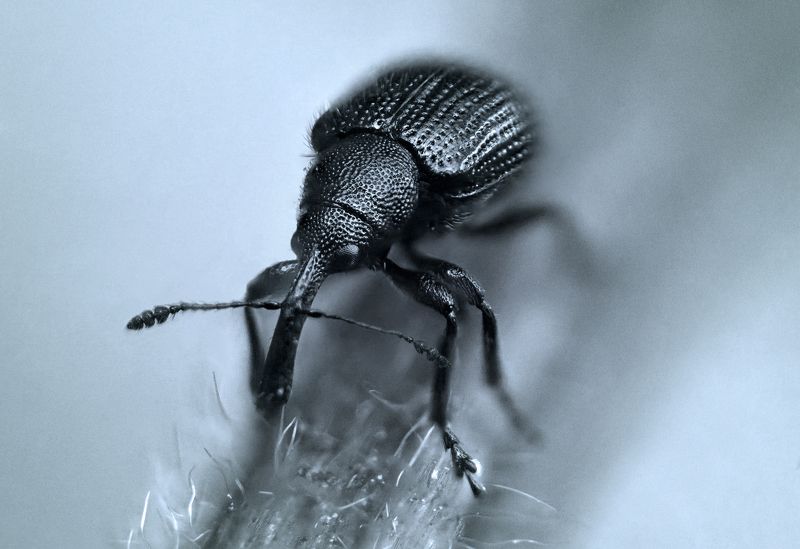 Балансируя усамиphoto preview