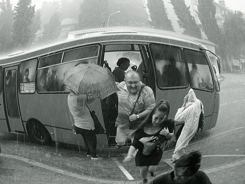 Просто летний дождьphoto preview