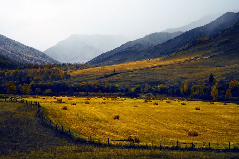 Алтайphoto preview