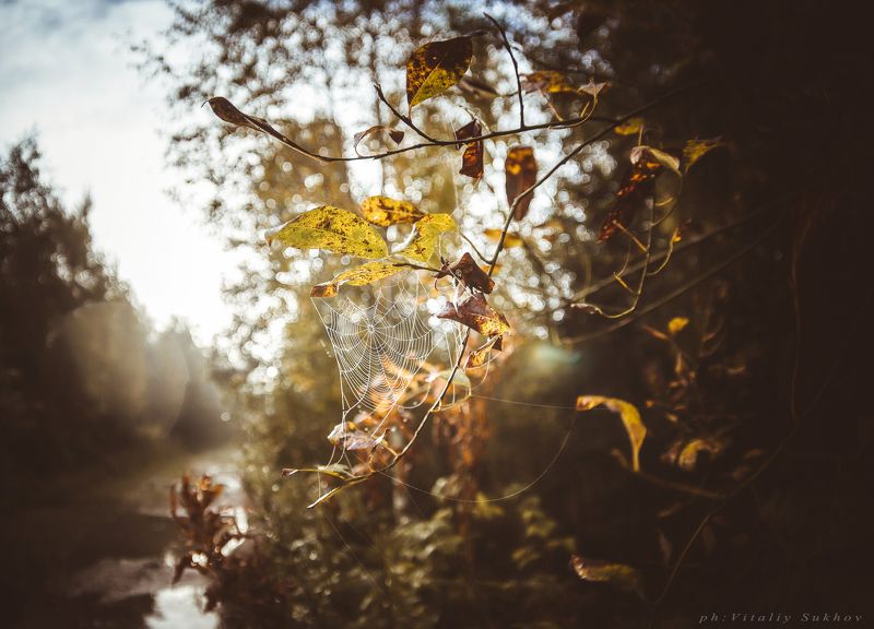 До последнего. фото превью