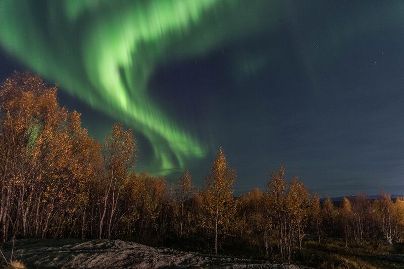 Яркая осеньphoto preview