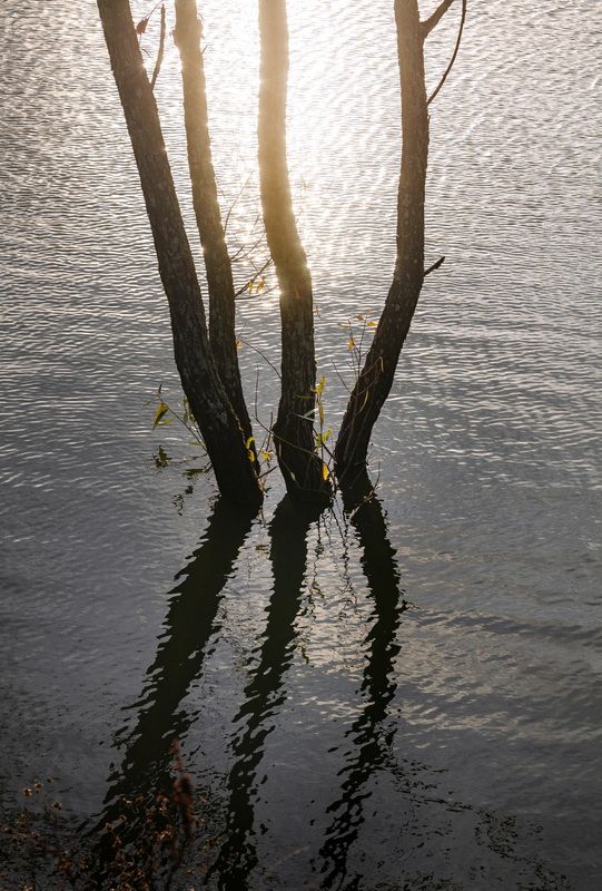 лебедянский район, липецкая область, вода, отражение, осень, осенний, берёза, осина, закат, пруд, озеро, Осень на прудуphoto preview