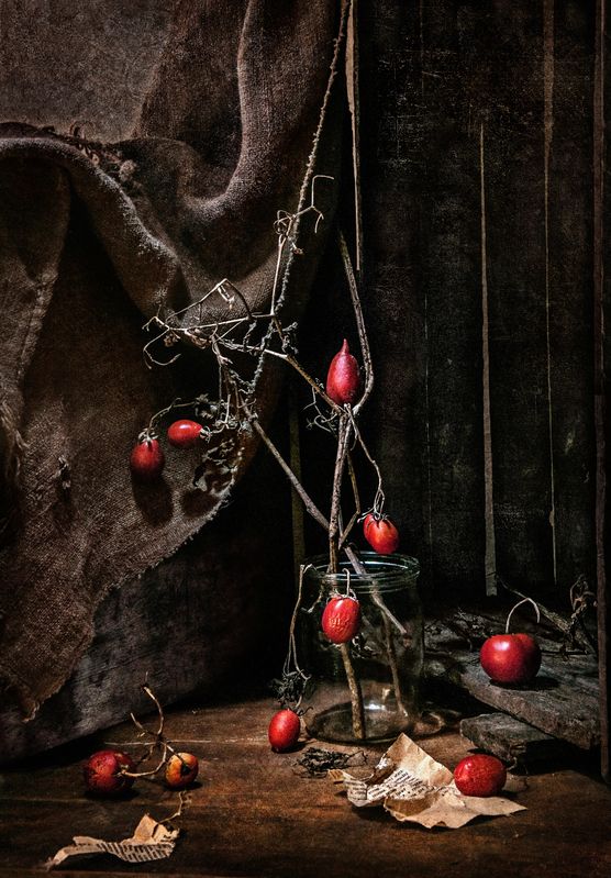 натюрморт, осень, настроение, помидоры, плоды, still life, tomatoes, autumn  Завяли помидоры photo preview