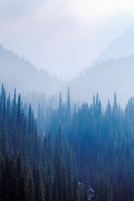 кыргызстан, шамшы Хоа хоахоа хоаааphoto preview