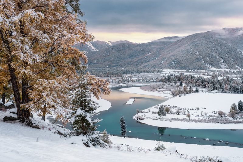 алтай, горный алтай, пейзажи алтая, кош-агачский район, горная река, золотая осень, горы, осенний алтай, лиственницы Золото под серебромphoto preview