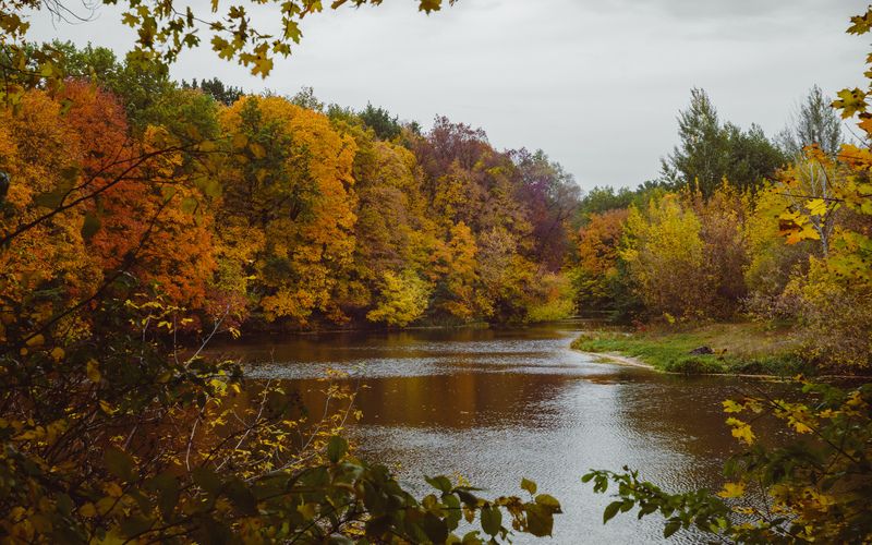 Осеньphoto preview