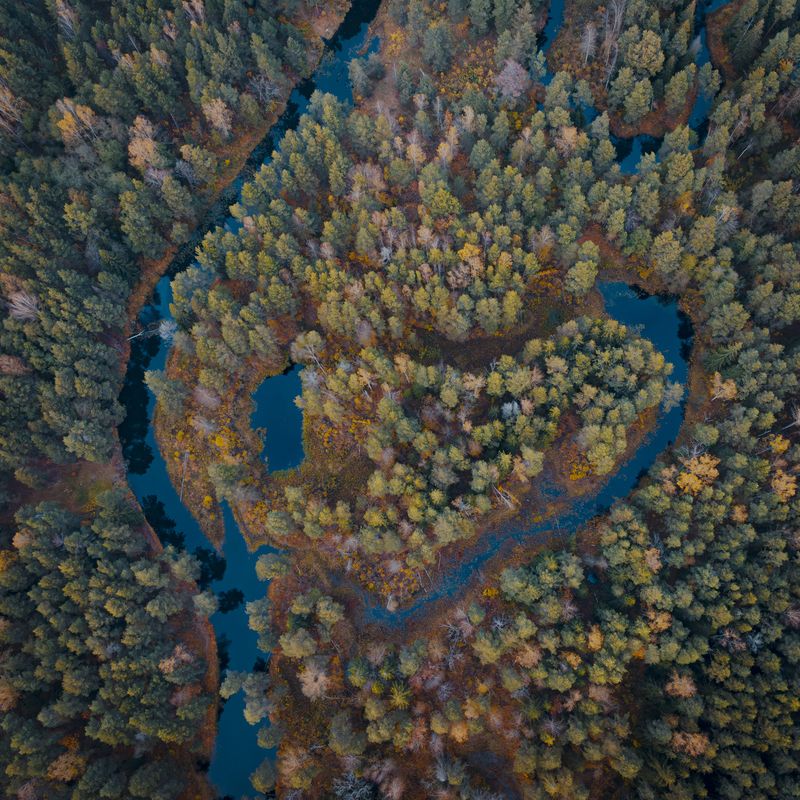 В сердце Мещерыphoto preview