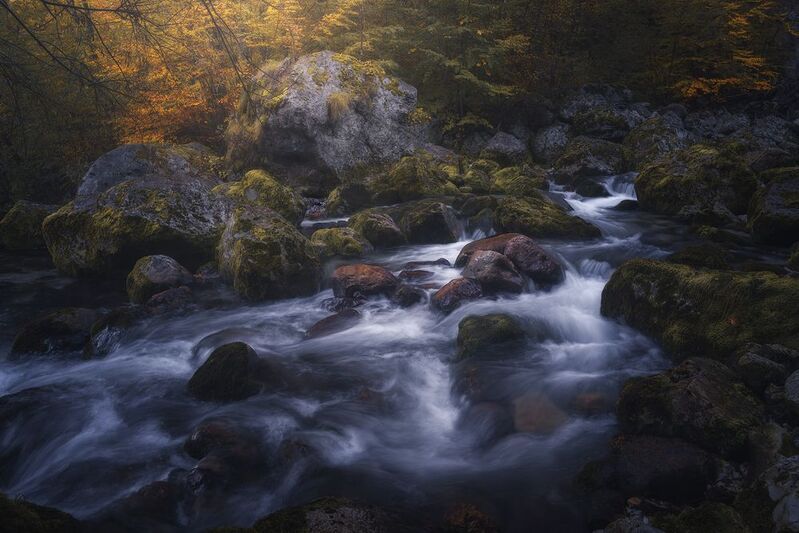 Under the Breath of Lightphoto preview