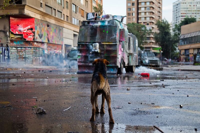 revuelta social, estallido social, 18 de octubre, octubre, estallido social en chile, piñera, bastián cifuentes araya, periodistafurioso, periodista furioso, bastian cifuentes araya, reportage spotlight, REVUELTA SOCIAL / ESTALLIDO SOCIALphoto preview