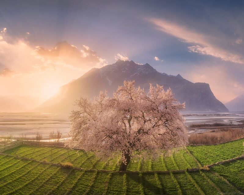 Pakistanphoto preview