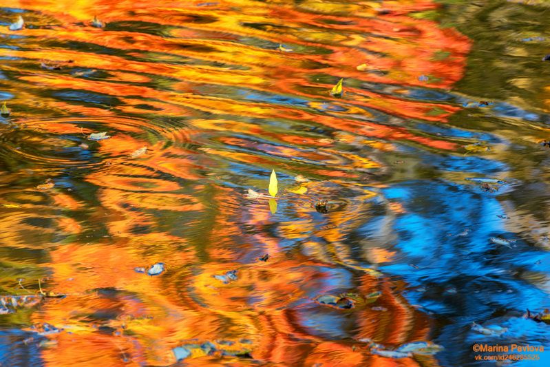 абстракция, акваабстракция, акваграфика, отражение на воде, осенние отражения, детскийпруд, александровский парк, город пушкин Акварельное отражение осени Александровского парка с призрачными обитателямиphoto preview