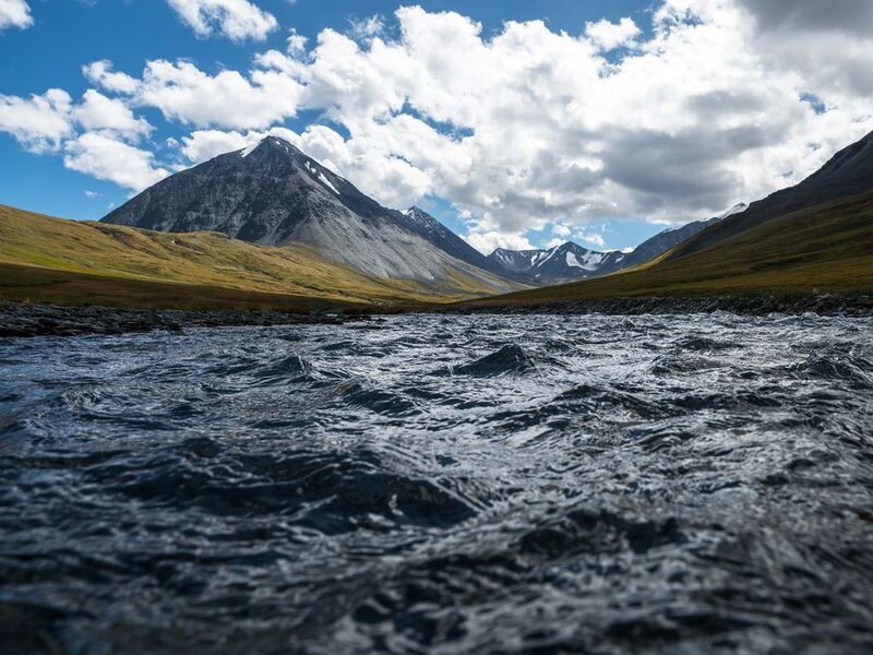 алтай Елангашphoto preview