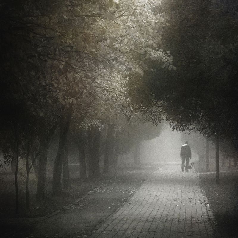 чб, туман, стрит Растрачивая снов остатки.photo preview