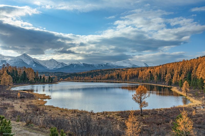 алтай, горный алтай, озеро киделю, природа, осень, золотая осень, улаганский перевал Озеро Киделюphoto preview