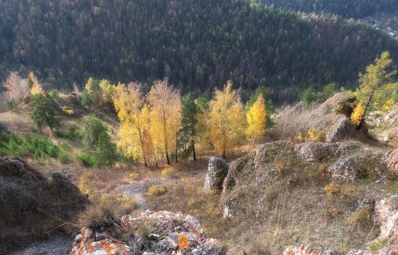 осень, торгашинский хребет, солнечно Сибирская осеньphoto preview