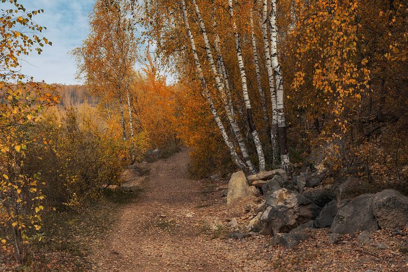 Дорога в осень.photo preview