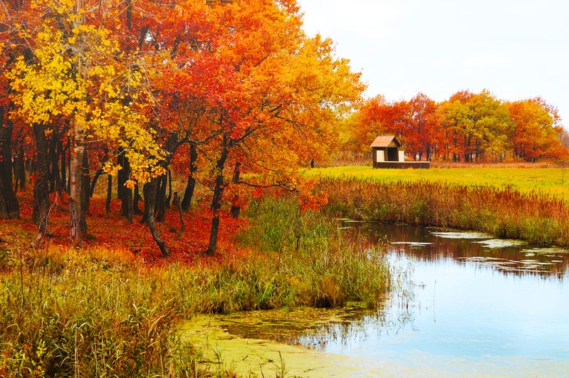 Secludedphoto preview