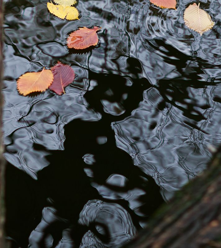 Простые сюжетыphoto preview