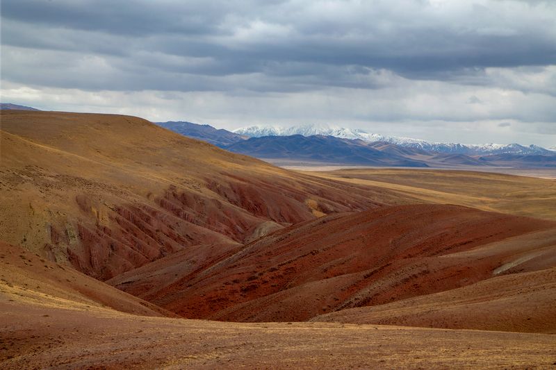 Контрасты Чуйской степиphoto preview