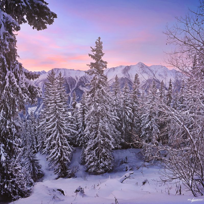 swiss Утро...photo preview