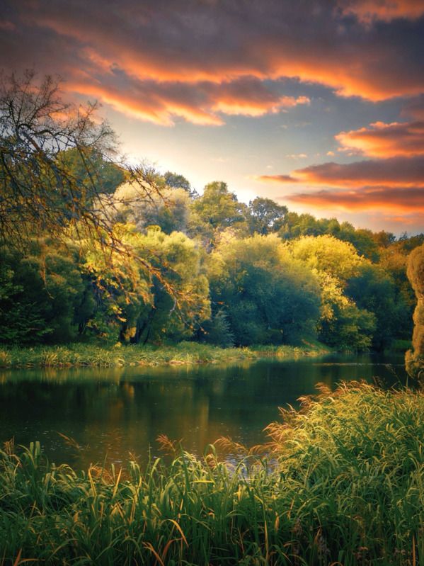 пейзаж, landscape, nature, природа, осень, autumn, золотаяосень, goldatum, пруд ***photo preview