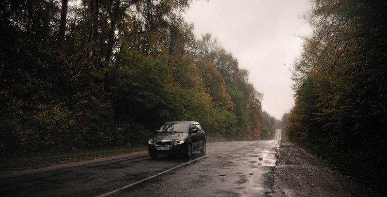 осень, дождь, тишина, дорога, отражение, спокойствие, туман, минимализм, настроение, мягкий свет, атмосфера, природа, покой, пейзаж, влажность, после дождя, умиротворение, осенний день, мокрый асфальт, прохлада, меланхолия, тишина после дождя, осенняя пог Осень делает даже привычные пути другими.photo preview