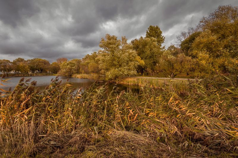 Лефортовский парк, Москва.photo preview