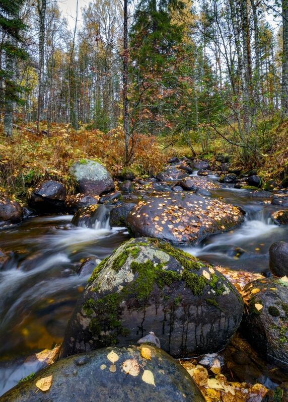 ручей листопад осень валун мох Ещё про осеньphoto preview