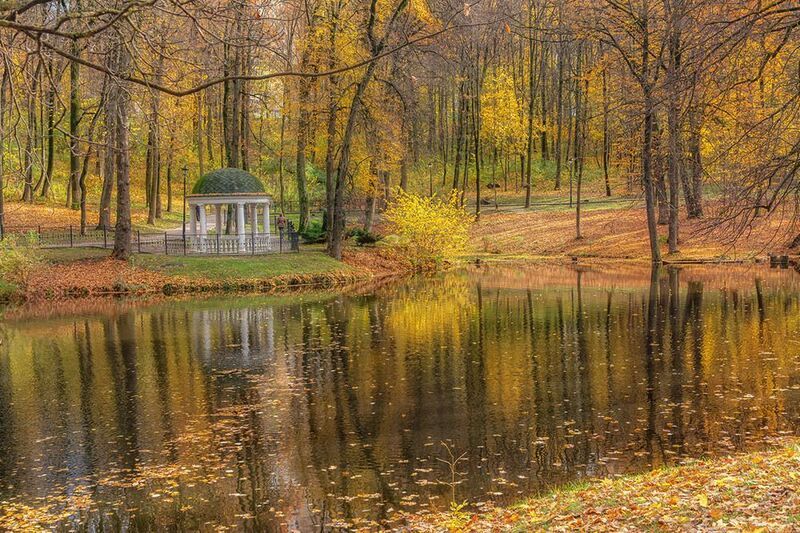 Осень в парке.photo preview