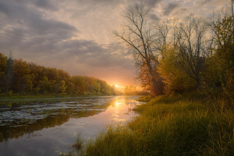 Богатая осень.photo preview