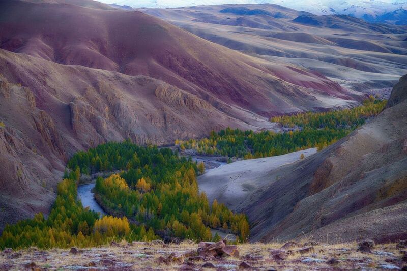 горы, осень, пейзаж, марс, алтай, утро, вечер, день, лес Красные горы Алтаяphoto preview