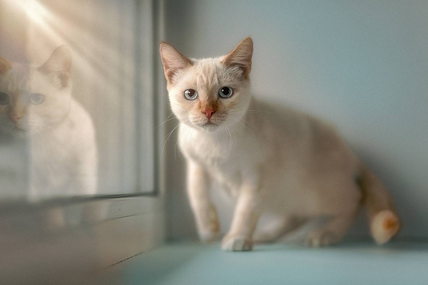 , Холудеев Виктор