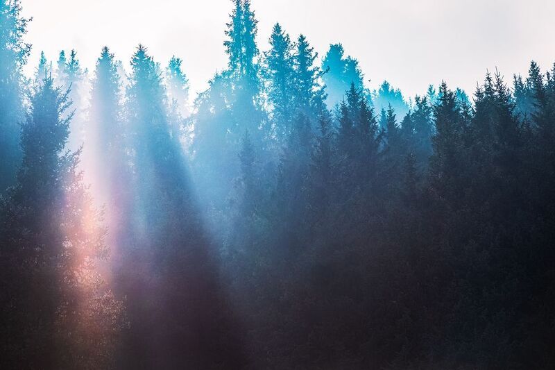 кыргызстан, шамшы Солнца яркий луч...photo preview