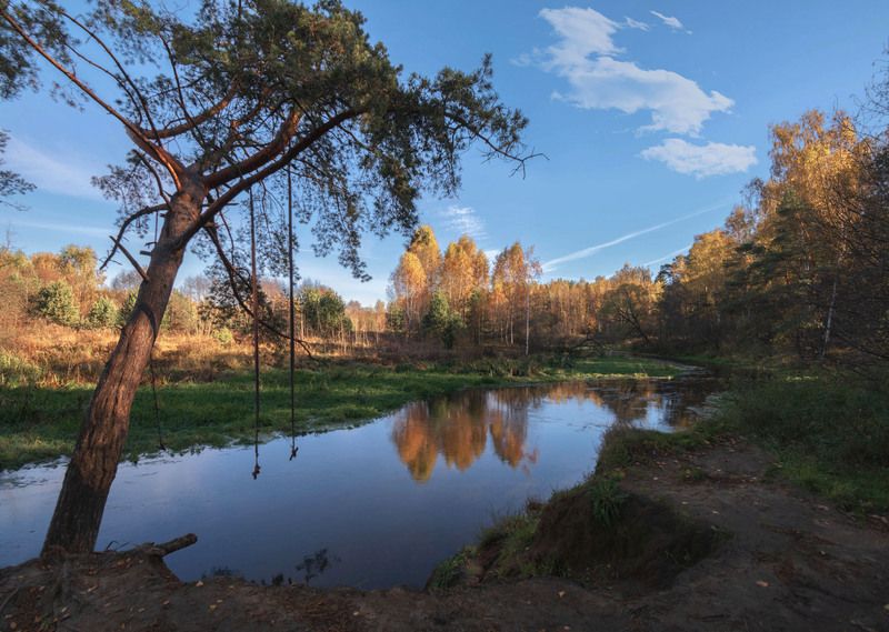 Тарзанкаphoto preview