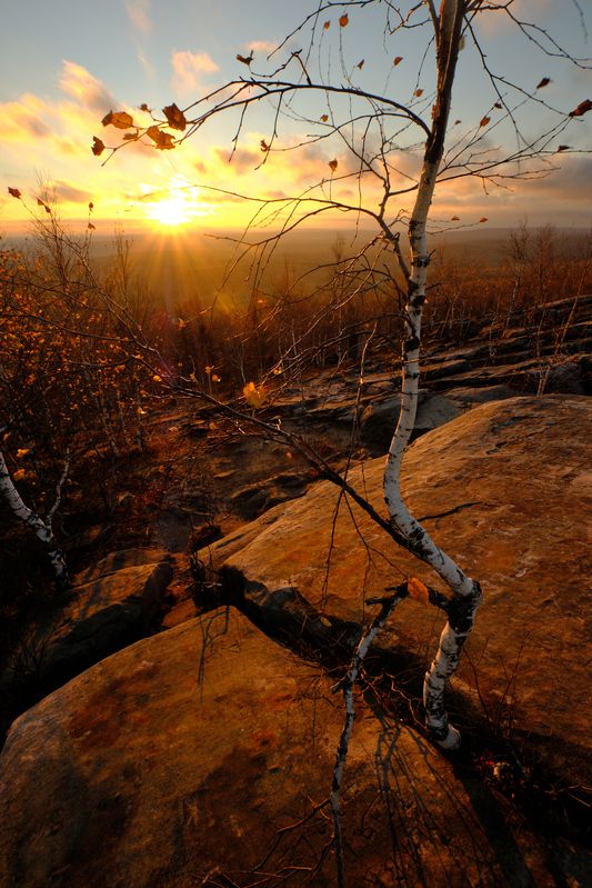 Сильнее камняphoto preview